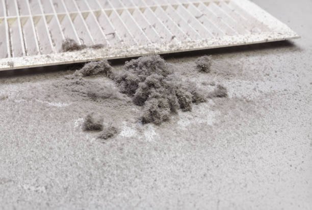Best Emergency Air Duct Cleaning  in Ridgely, TN